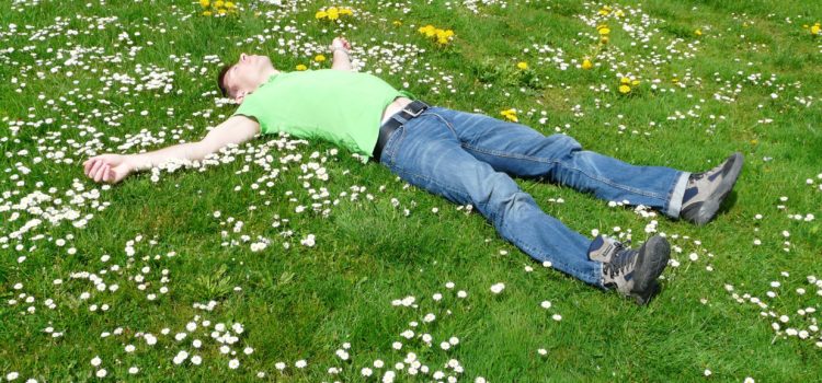 high-angle-view-of-lying-down-on-grass-258330